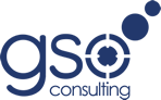  GSO COnsulting